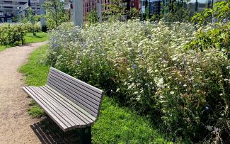 Grønttorvet Park is an incredibly important local recreation space for the entire residential district. The seats are an invitation to linger a while. © Malmos A/S / ZinCo Bench in front of a meadow